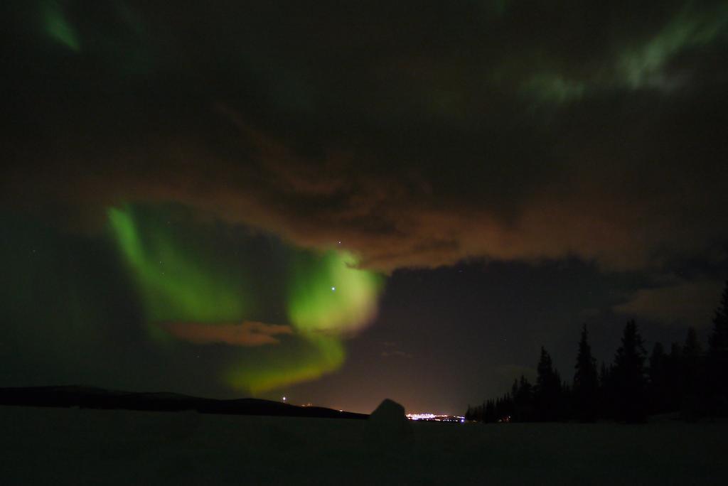 Stf Malmfaeltens Folkhoegskola Kiruna Buitenkant foto