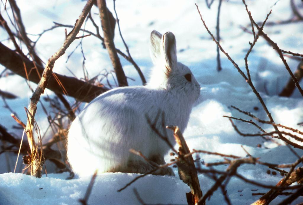 Stf Malmfaeltens Folkhoegskola Kiruna Buitenkant foto